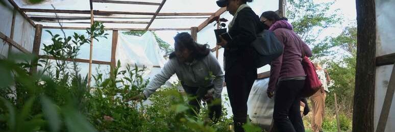 05 Vivero (1)