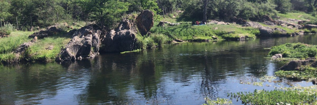 Biodiversidad-rio