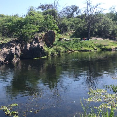 Biodiversidad-rio