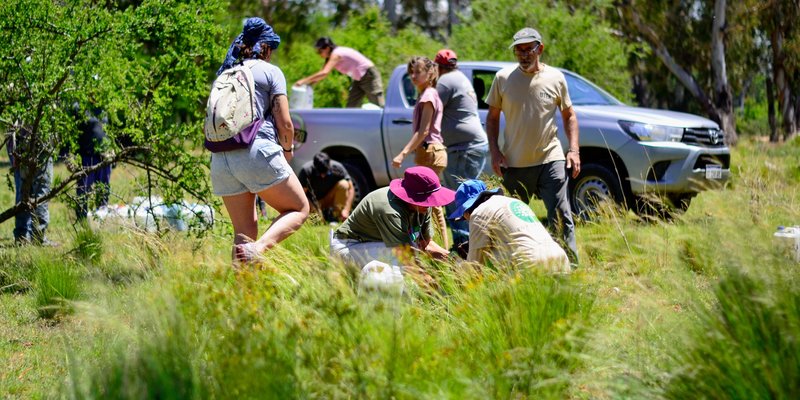 PlantamosxLaMemoria(BriMiranda) (15)